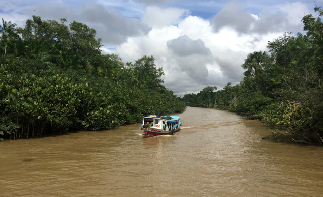 Amazonia barco