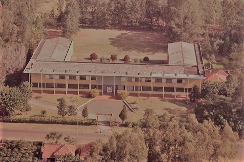 jaguapitã2