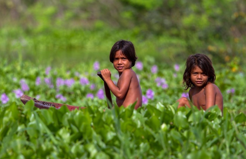 amazonia2