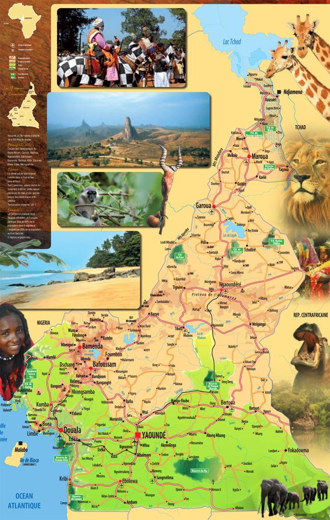 cameroun