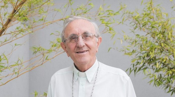 domArmando 