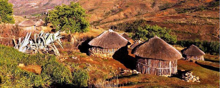 africa 768x307