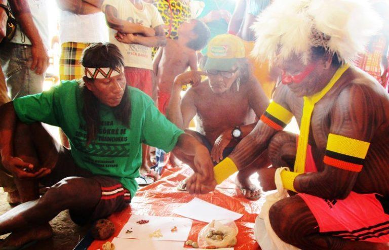 kayapo 768x494