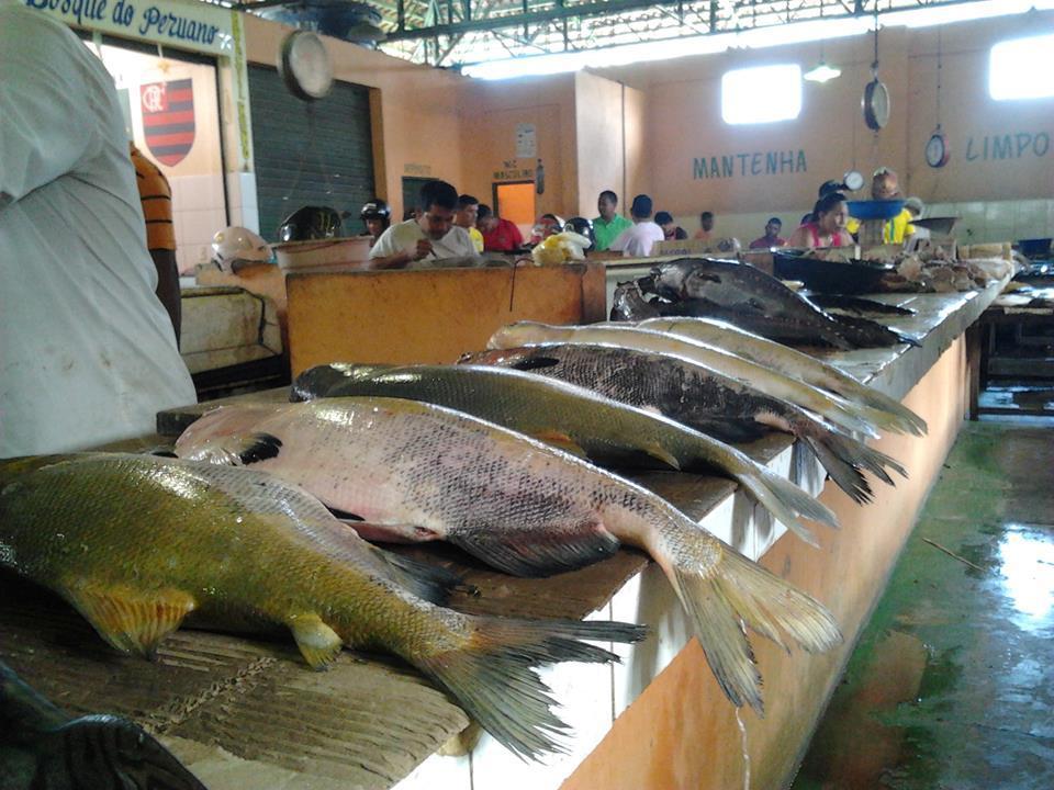 peixes