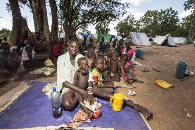 refugiados afr