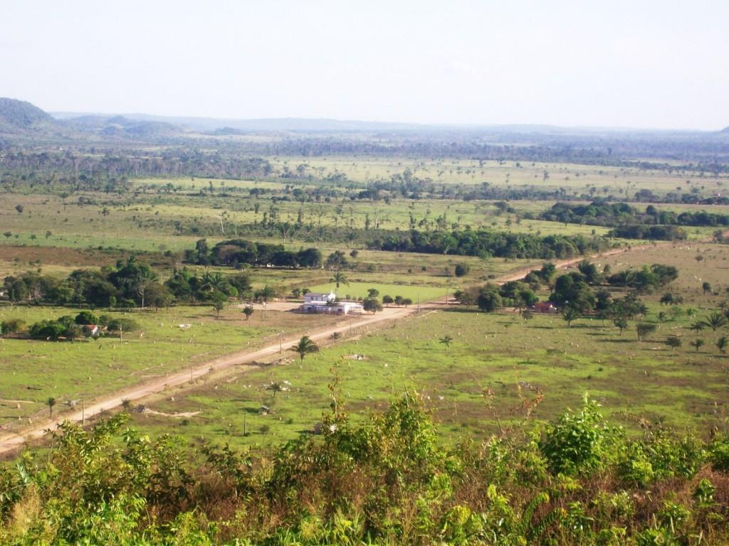 tucuma 2