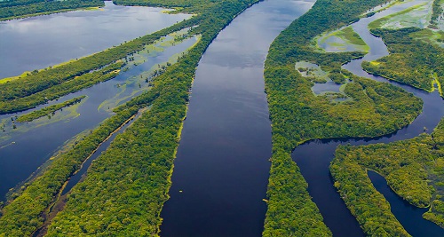 amazonia3