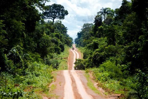 amazonia